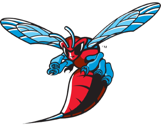 特拉华州女篮logo